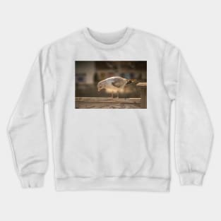 Medium gull Crewneck Sweatshirt